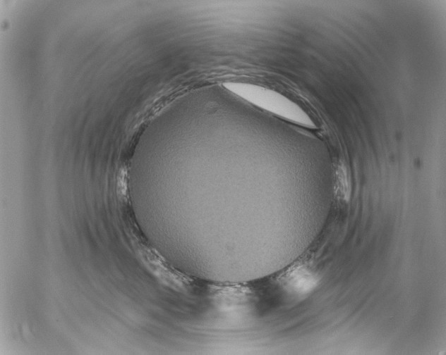 X0000053060621200508081155