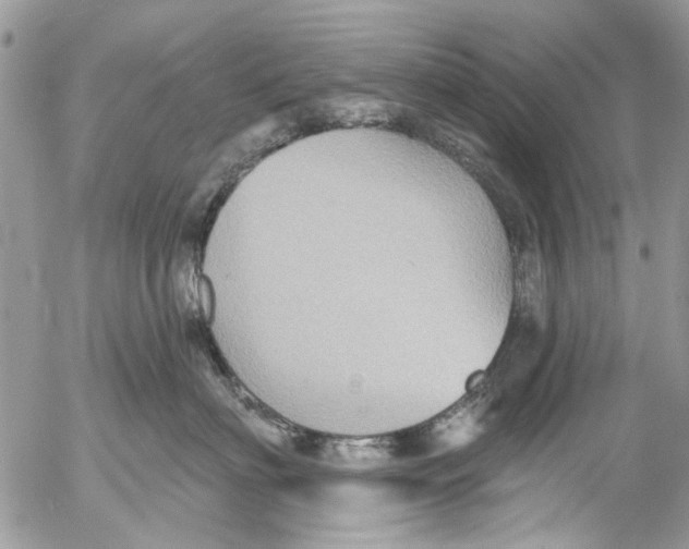 X0000053060622200508081155