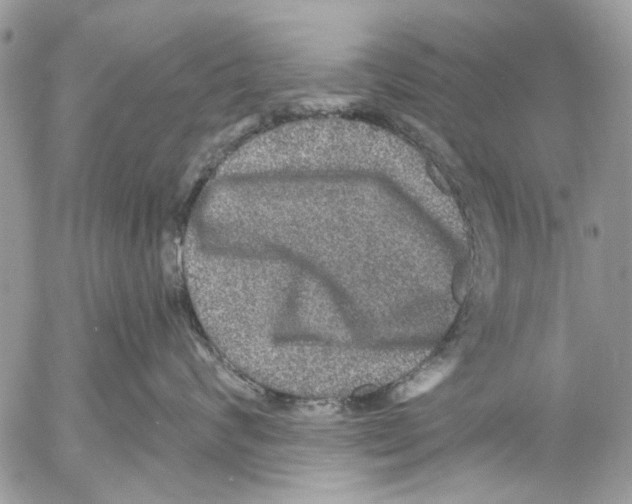 X0000053060624200508081155