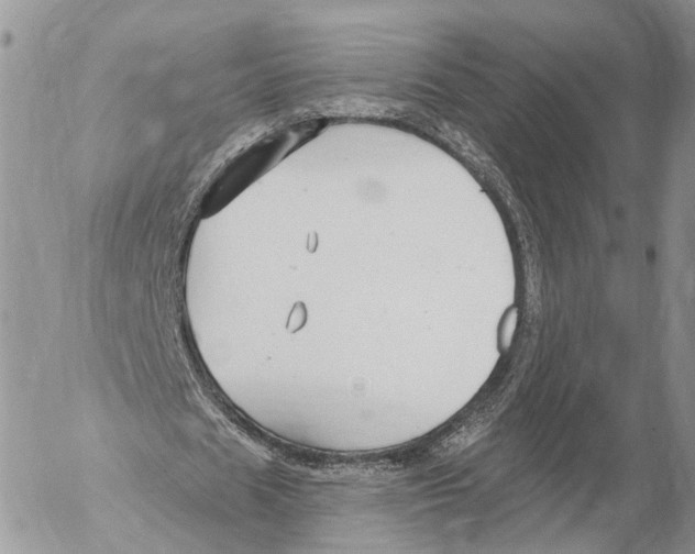 X0000053060625200508081155