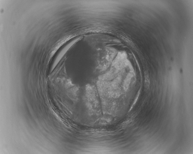 X0000053060626200508081155