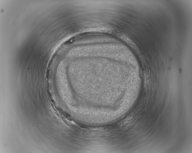 X0000053060628200508081155