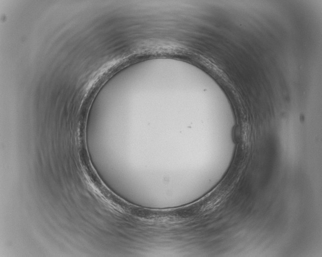 X0000053060629200508081155