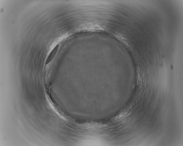 X0000053060630200508081155