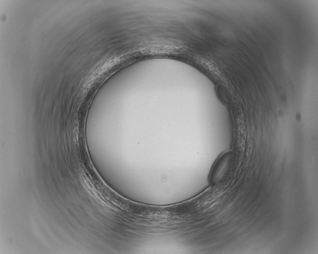 X0000053060631200508081155