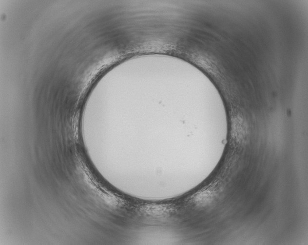 X0000053060632200508081155