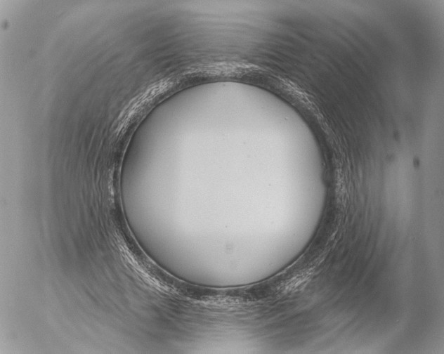 X0000053060633200508081155