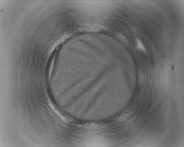 X0000053060634200508081155