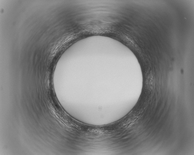 X0000053060635200508081155