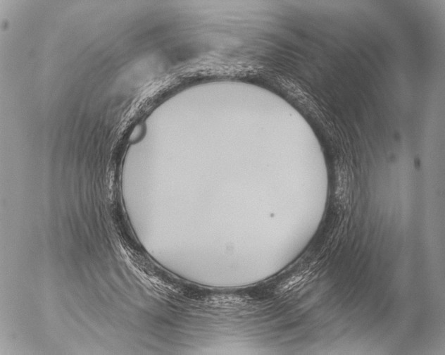 X0000053060636200508081155