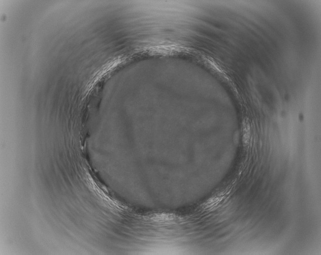 X0000053060637200508081155