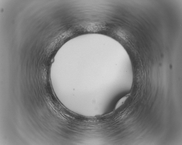 X0000053060639200508081155