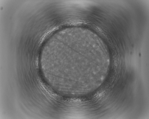 X0000053060640200508081155