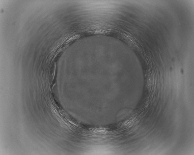 X0000053060643200508081155