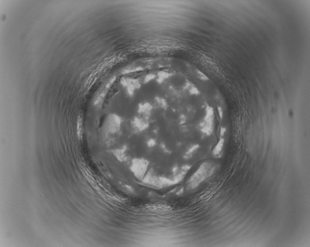 X0000053060644200508081155