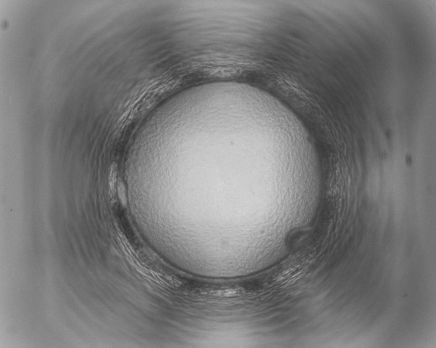 X0000053060646200508081155