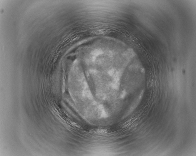 X0000053060647200508081155