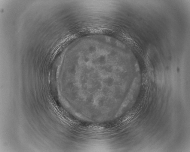 X0000053060648200508081155