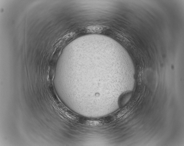 X0000053060649200508081155