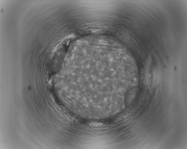 X0000053060650200508081155