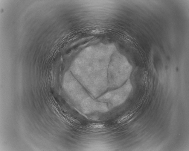 X0000053060651200508081155