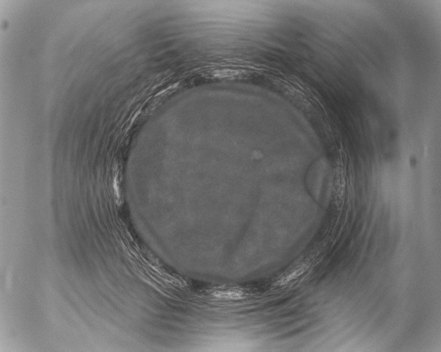 X0000053060653200508081155