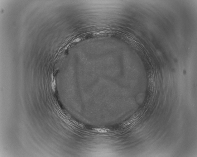 X0000053060654200508081155