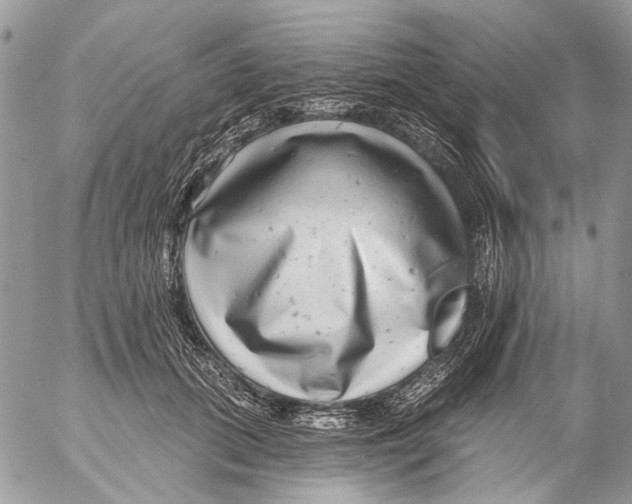 X0000053060655200508081155