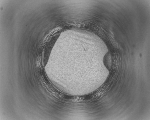 X0000053060656200508081155