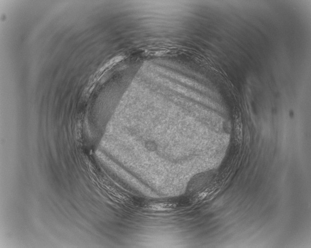 X0000053060657200508081155