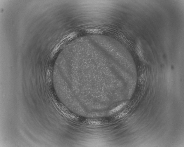 X0000053060658200508081155