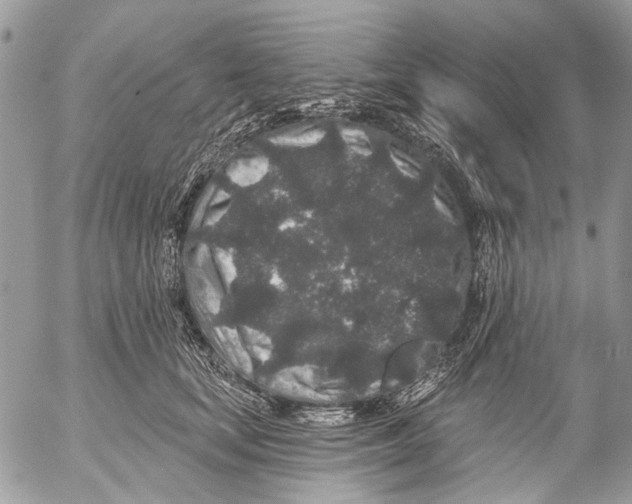 X0000053060659200508081155