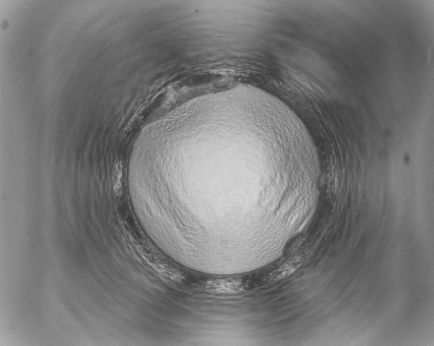 X0000053060660200508081155