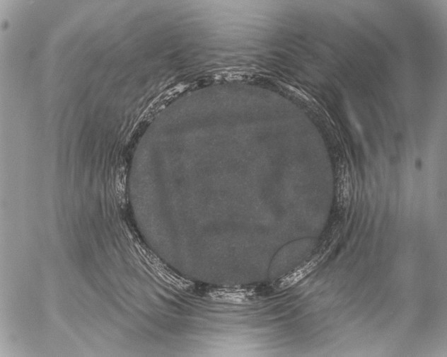 X0000053060661200508081155