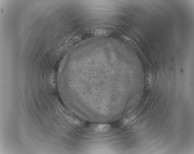 X0000053060663200508081155