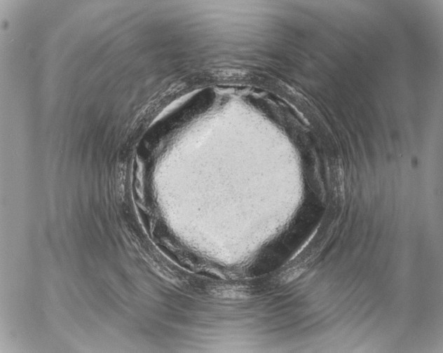 X0000053060664200508081155