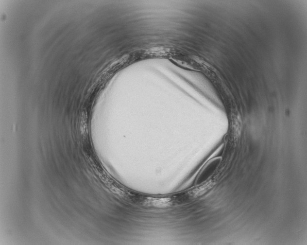 X0000053060665200508081155