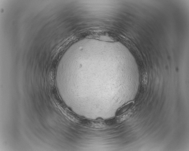 X0000053060666200508081155