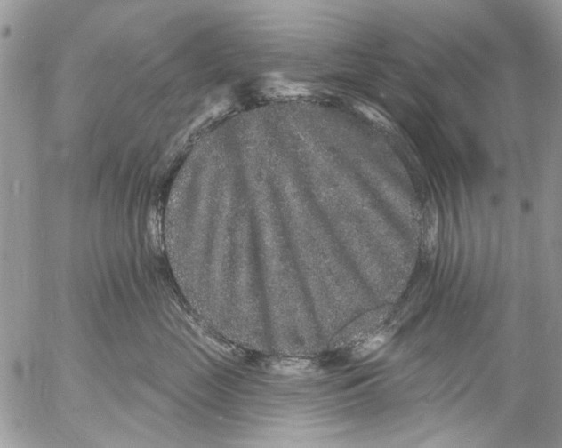 X0000053060669200508081155