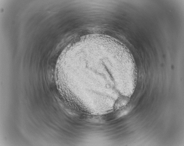 X0000053060671200508081155