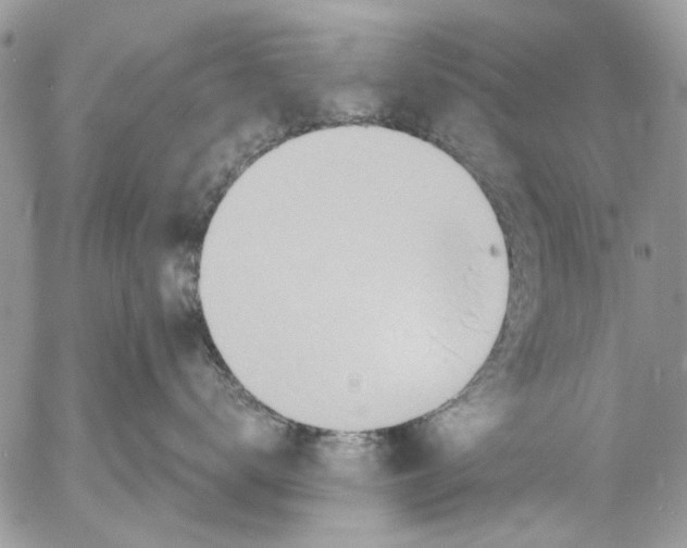 X0000053060672200508081155