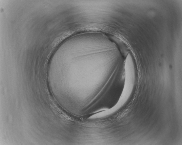 X0000053060673200508081155