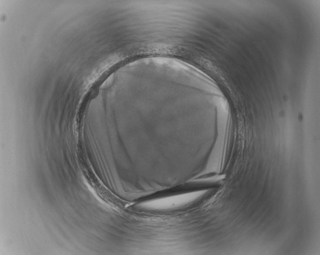 X0000053060674200508081155