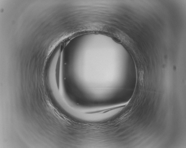 X0000053060676200508081154