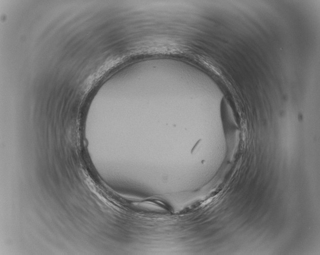 X0000053060677200508081154