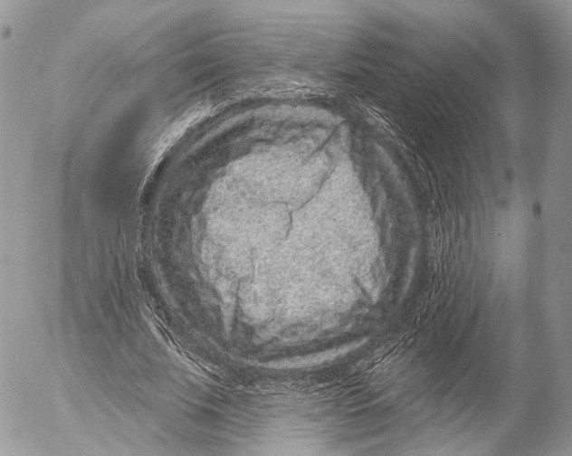 X0000053060679200508081154