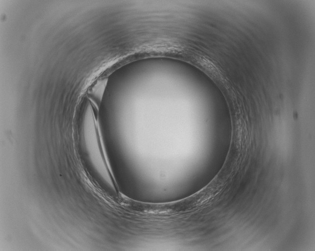 X0000053060680200508081154