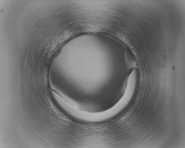 X0000053060681200508081154