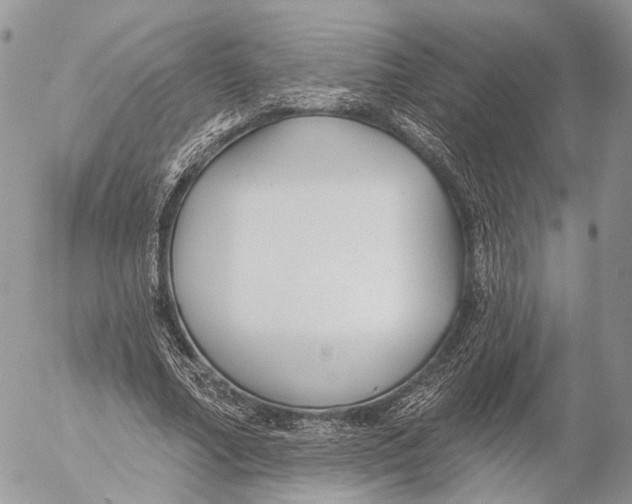 X0000053060682200508081154