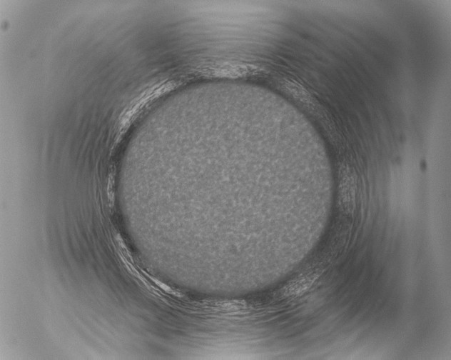 X0000053060683200508081154